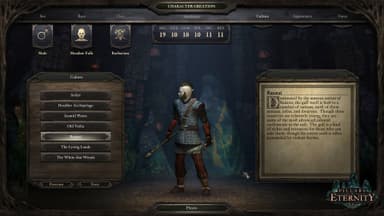 Pillars of Eternity Hero Edition - PC Windows,Mac OSX,Linux