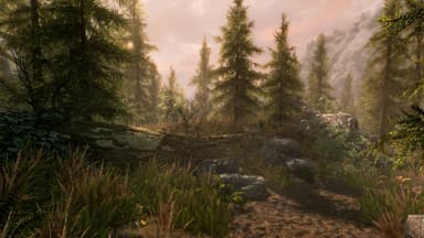 The Elder Scrolls V Skyrim Special Edition - PC Windows