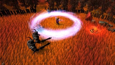 Fallen Mage - PC Windows