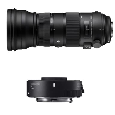 SIGMA AF 150-600 f/5-6.3 DG OS HSM Sports + TC-1401 NIK