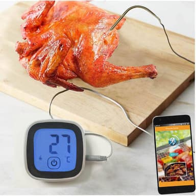 TERMOMETERFABRIKEN  Termometer Stek Bluetooth
