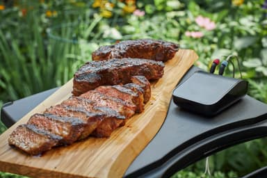 Weber Connect Smart grilltermometer-hub