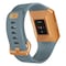 Fitbit Ionic smartklokke (skiferblå/brent oransje)