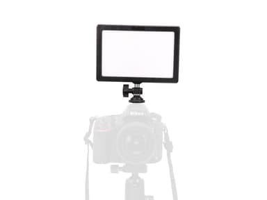LEDGO LG-E116C Bi-Color