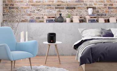 JBL Tuner XL bærbar FM-/DAB-radio (sort)