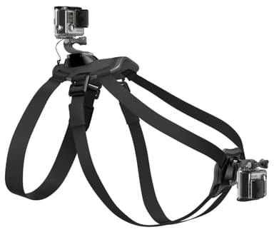 GoPro Fetch hundesele til GoPro