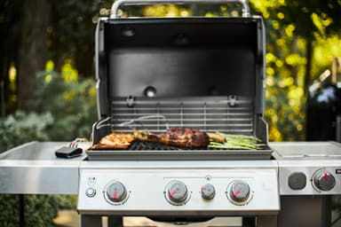 Weber Genesis II gassgrill WEB61012169