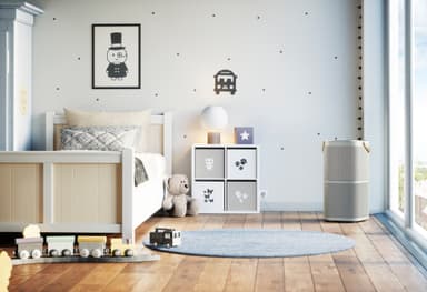Electrolux Pure A9 luftrenser PA91-404GY