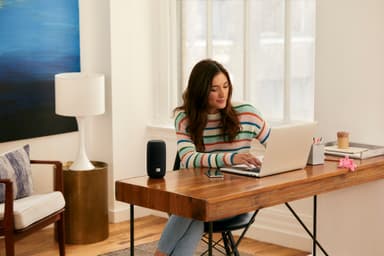 JBL Link Portable Wi-Fi høyttaler med ladestasjon (sort)