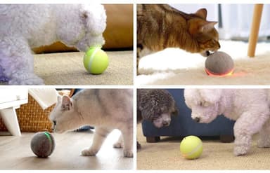 Wicked Ball - interaktivt leketøy for hund og katt - grønt
