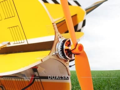 Dualsky O-Rings (20pcs)
