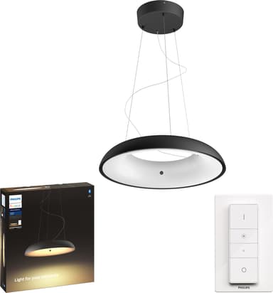 Philips Hue Amaze hengende taklampe 4023330P6 (svart)