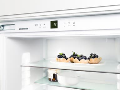 Liebherr Comfort BluPerformance kombiskap CNef 4335-21 001
