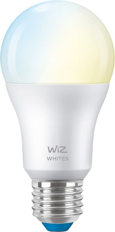 WIZ 929002383522 LED bulbs