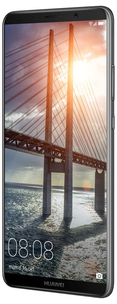 Huawei Mate 10 Pro smarttelefon (grå)
