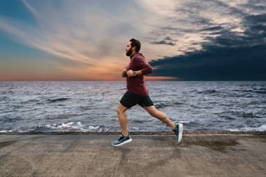 Garmin Forerunner 45 Plus sportsklokke 42 mm (sort/grå)