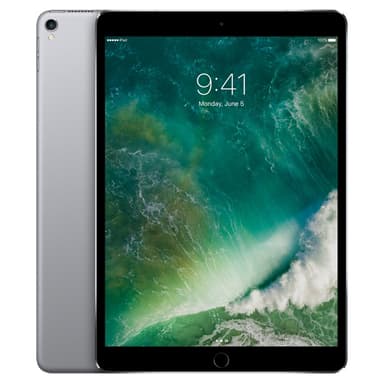 iPad Pro 10,5" 256 GB WiFi + Cellular (space gray)