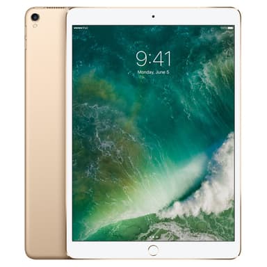 iPad Pro 10,5" 512 GB WiFi + Cellular (gull)