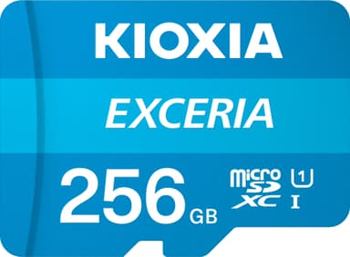 Kioxia Exceria 256GB minnekort
