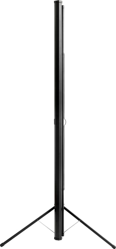 Wistream Tripod Wide 99" green screen
