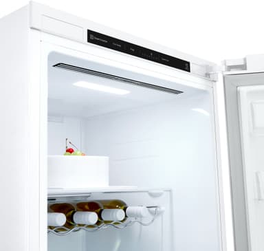 LG kjøleskap GLT51SWGSZ (white)