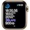Apple Watch Series 6 40mm GPS+4G LTE (gullfarget stål/grønn sportsreim)