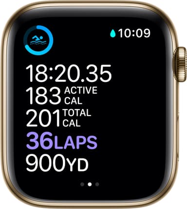 Apple Watch Series 6 44mm GPS+4G LTE (gullfarget stål/gull Mil.-reim)
