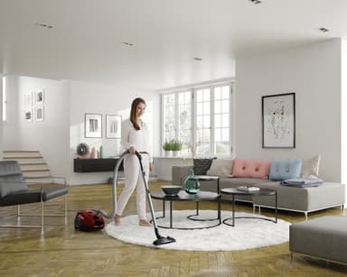 Electrolux PowerForce Animal støvsuger EPF6ANIMAL