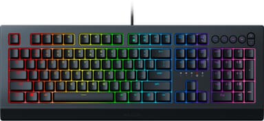 Razer Cynosa V2 gamingtastatur