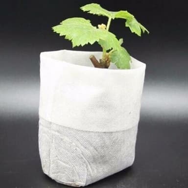 Planteringsposer i 100-Pk