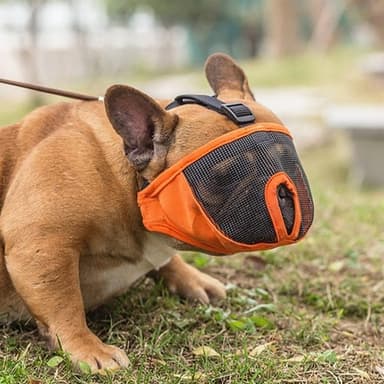 Munnkurv til Hund XL