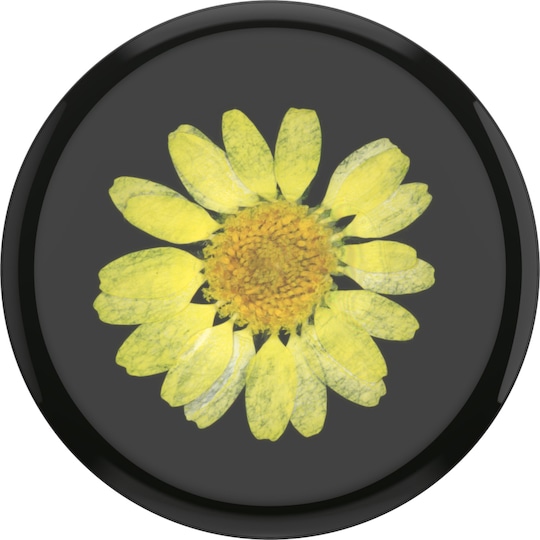 Popsockets Premium grep mobile enheter (pressed flower yellow daisy)