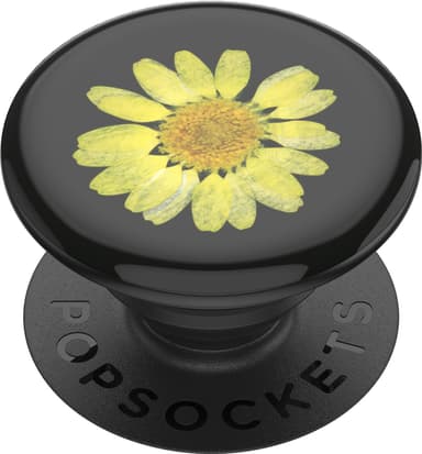 Popsockets Premium grep mobile enheter (pressed flower yellow daisy)