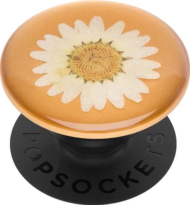 Popsockets Premium grep t. mobile enheter (pressed flower white daisy)