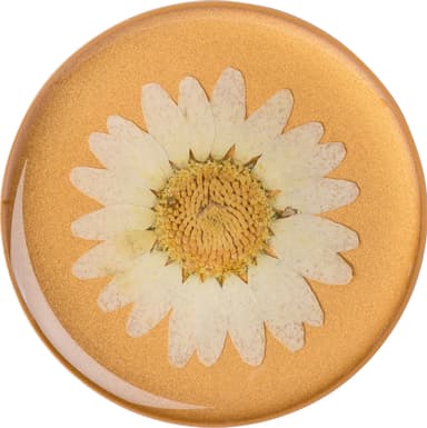 Popsockets Premium grep t. mobile enheter (pressed flower white daisy)
