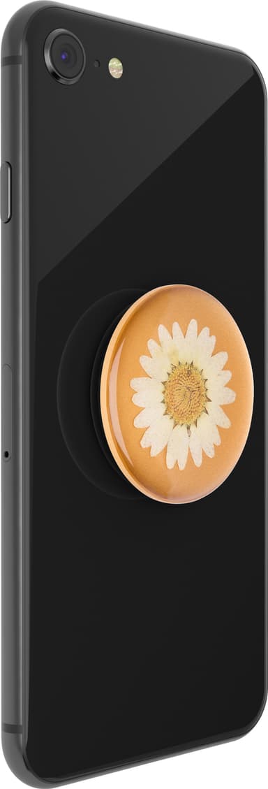 Popsockets Premium grep t. mobile enheter (pressed flower white daisy)