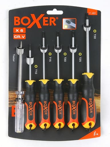 Skrutrekkersett TORX 6 deler