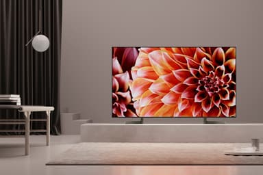 Sony 65" 4K UHD Smart TV KD-65XF9005