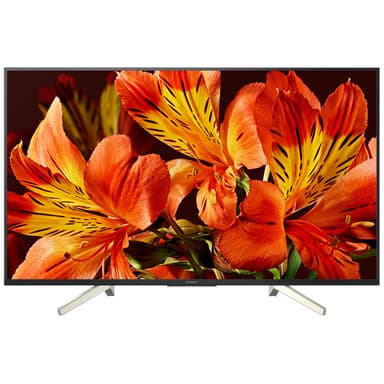 Sony 49" 4K UHD Smart TV KD-49XF8505