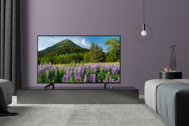Sony 65" 4K UHD Smart TV KD-65XF7005