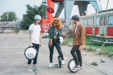 Ninebot ONE S2 by Segway (sort/hvit)