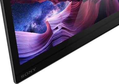 Sony 48" A9 4K UHD OLED Smart-TV KD48A9