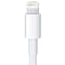 Apple Lightning til 30 pin-adapter MD824, 20 cm