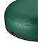 B&O Beosound A1 2. generasjon trådløs høyttaler (grønn)