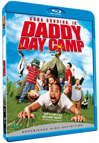 Daddy Day Camp (Blu-ray)