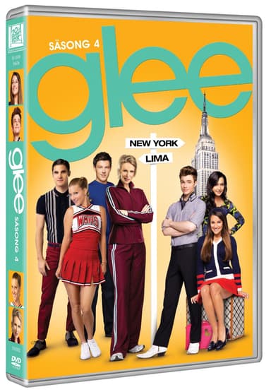 Glee: sesong 4 (DVD)