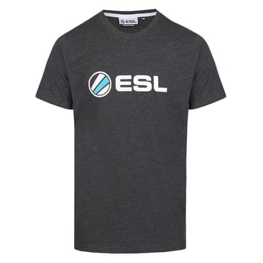 ESL basic T-skjorte (XXL) (mørk grå)