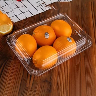 Matbeholder med lokk 27x18x9cm 10-pk