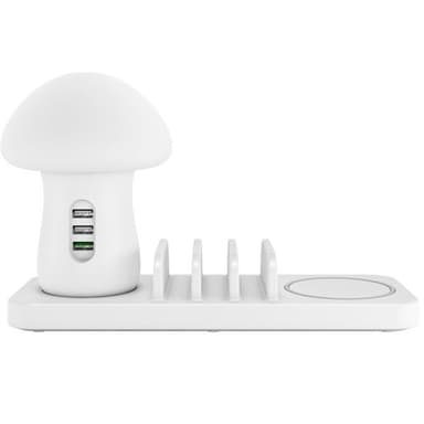 24 72425 Universal Charger