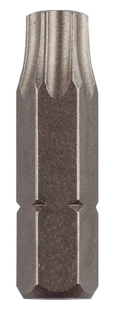 Skruvdragarbits i S2-stål, 1/4", T20, 25 st.